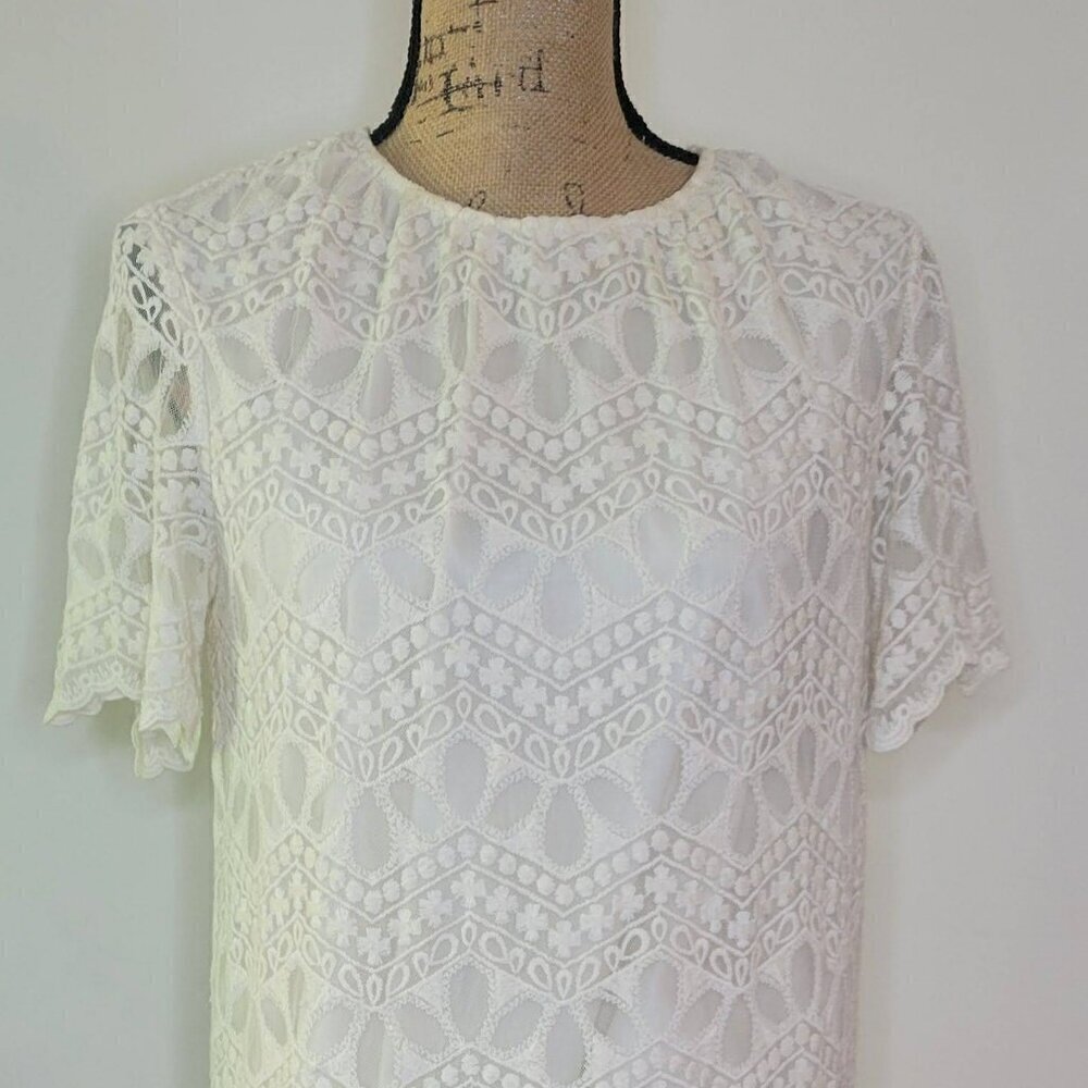 Zara Basic Collection Ivory Embroidered Lace Crew… - image 7